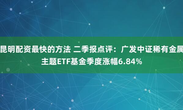 昆明配资最快的方法 二季报点评：广发中证稀有金属主题ETF基金季度涨幅6.84%