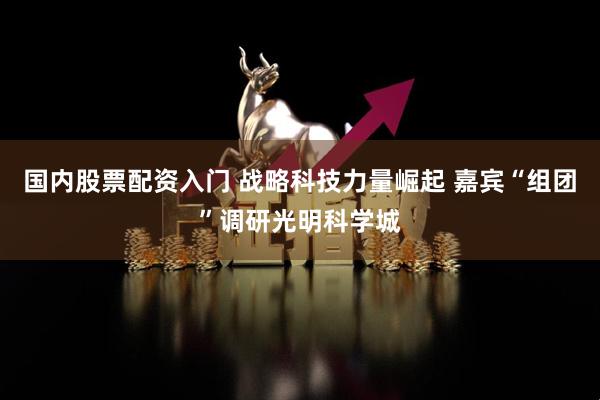 国内股票配资入门 战略科技力量崛起 嘉宾“组团”调研光明科学城