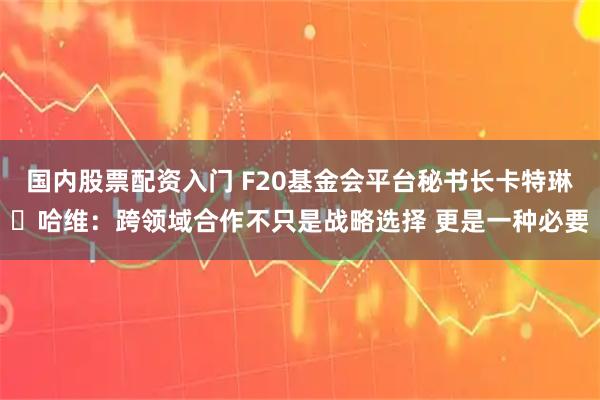 国内股票配资入门 F20基金会平台秘书长卡特琳・哈维：跨领域合作不只是战略选择 更是一种必要